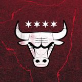 Chicago Bulls App app icon