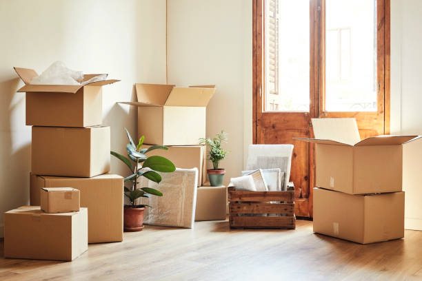 Moving boxes in a sunlit empty apartment